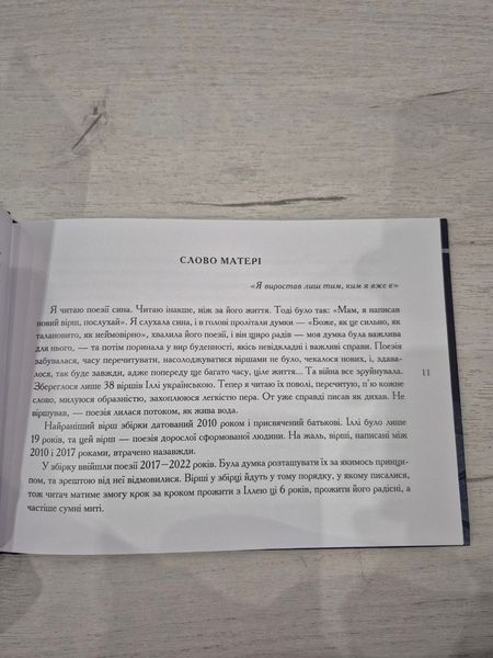 Я птах між тенет. Ілля Чернілевський 9786176797262 фото