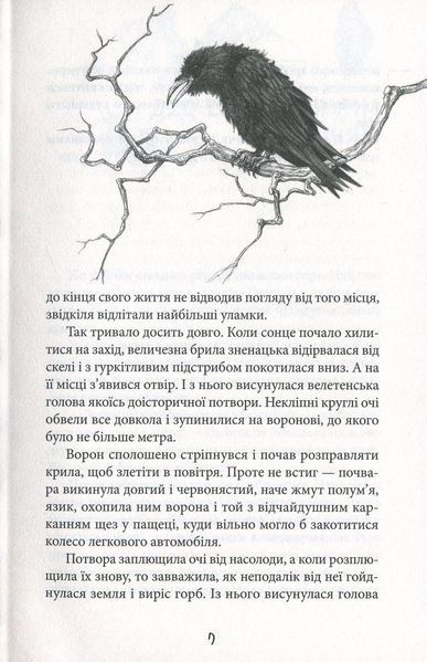 Щирик зі Змієвої гори. Володимир Рутківський 9786176797045 фото