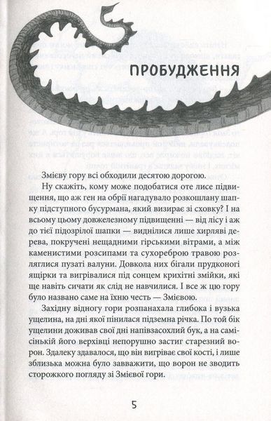 Щирик зі Змієвої гори. Володимир Рутківський 9786176797045 фото