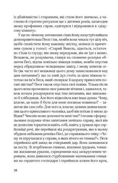 "Син блудного сина" Сома Морґенштерн 9786176797933 фото