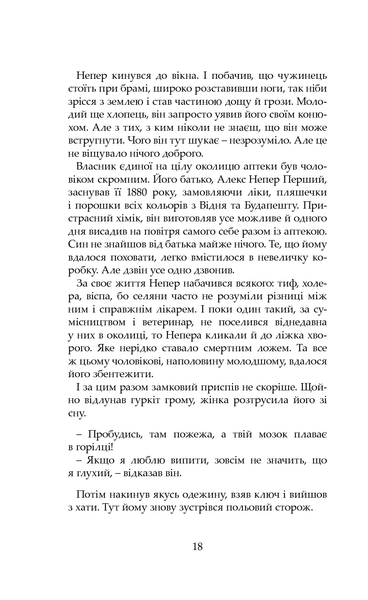 "Якоб вирішує любити" Каталін Доріан Флореску 9786176798012 фото