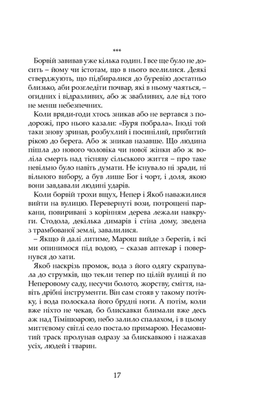 "Якоб вирішує любити" Каталін Доріан Флореску 9786176798012 фото