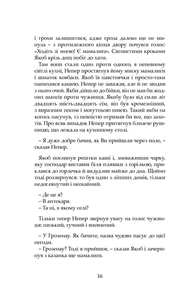 "Якоб вирішує любити" Каталін Доріан Флореску 9786176798012 фото