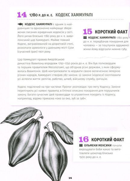 "501 факт, який треба знати з... історії" Реттл Елісон 9786176797895 фото