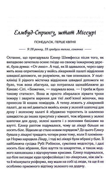"Заберіть мене на небеса" Фенні Флегг 9786176798258 фото