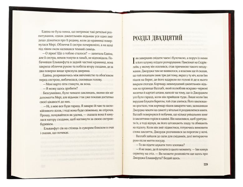 "Закляття ворона" Луенн Дж. Сміт 9786176798502 фото