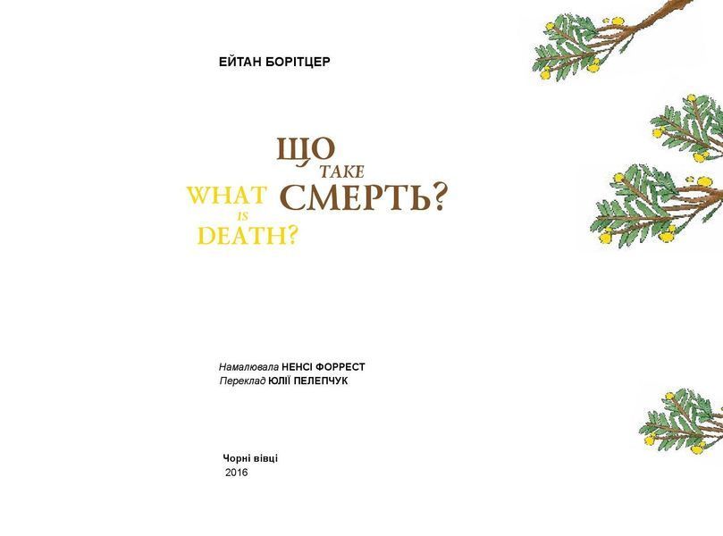"Що таке смерть?" Ейтан Борітцер 169 фото