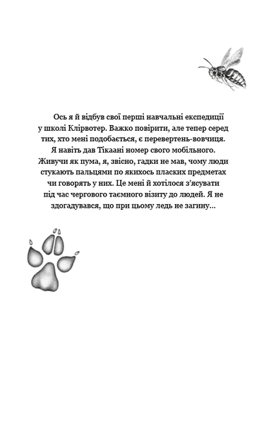"Діти лісу. Книга 3. Таємниця Голлі" Катя Брандіс 104 фото