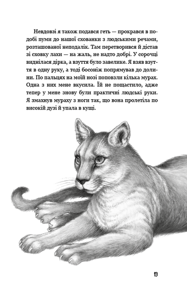 "Діти лісу. Книга 3. Таємниця Голлі" Катя Брандіс 104 фото