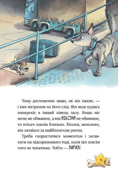 "Інспектор Лап. Книга 2. Услід за викрадачкою діамантів" Катя Райдер 9786176797612 фото