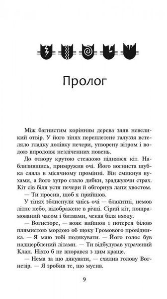 Коти-Вояки. Сила трьох. Прозір. Книга 1 Ерін Гантер 9786176797035 фото