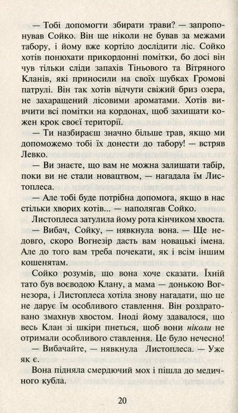 Коти-Вояки. Сила трьох. Прозір. Книга 1 Ерін Гантер 9786176797035 фото