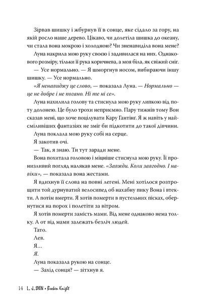 "Розбитий лицар" Л. Дж. Шен 9786176798184 фото