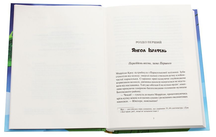 "Дивосміт. Покликання Морріґан Кроу. Книга 2" Джесіка Таунсенд 69 фото