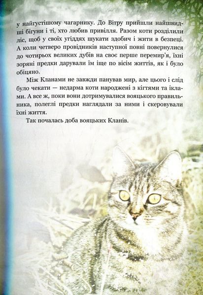 Коти-вояки. Таємниці кланів. Путівник по серії Ерін Гантер 9786176797031 фото