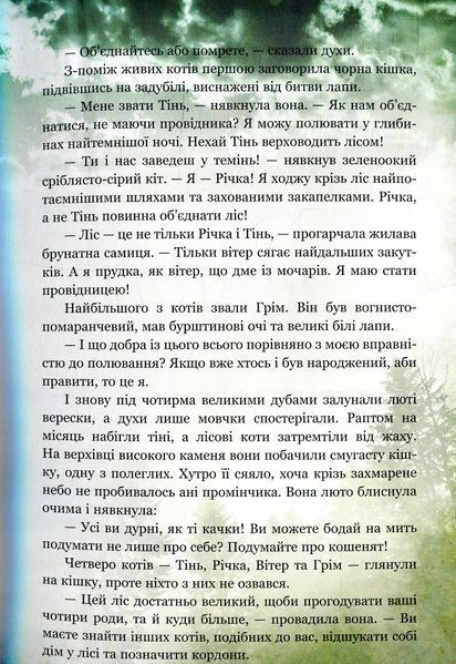 Коти-вояки. Таємниці кланів. Путівник по серії Ерін Гантер 9786176797031 фото