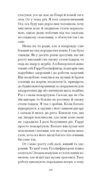 Тріумф яйця. Книга вражень від американського життя в оповідях і віршах. Шервуд Андерсон 9786176797352 фото