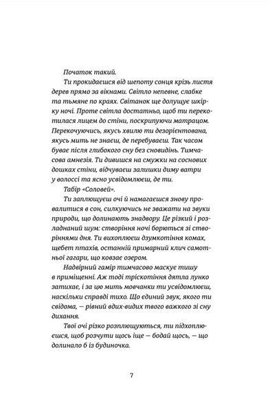 "Востаннє, коли я збрехала" Райлі Сейгер 9786176797874 фото