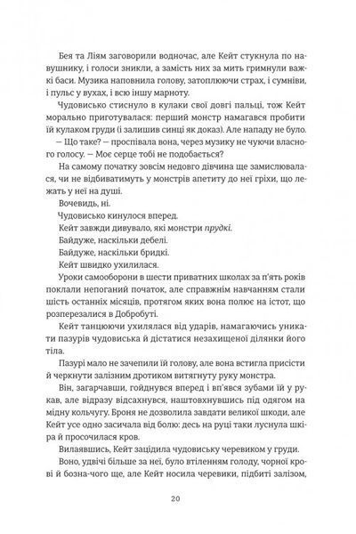 Дует наш темний. В. Е. Шваб 9786176797216 фото