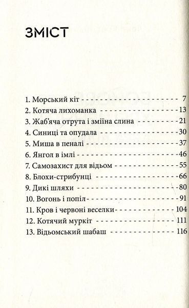 "Дика відьма. Бойове хрещення" Лене Кобербьоль 153 фото