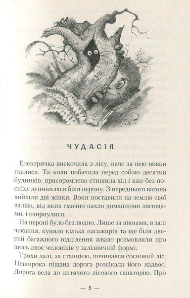Бухтик з тихого затону. Володимир Рутківський 9786176797050 фото