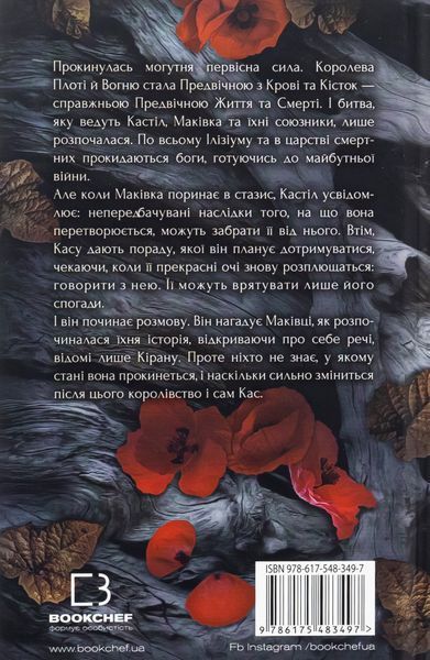"Кров і попіл. Книга 5. Душа з попелу та крові" Дженніфер Л. Арментраут 9786176798410 фото